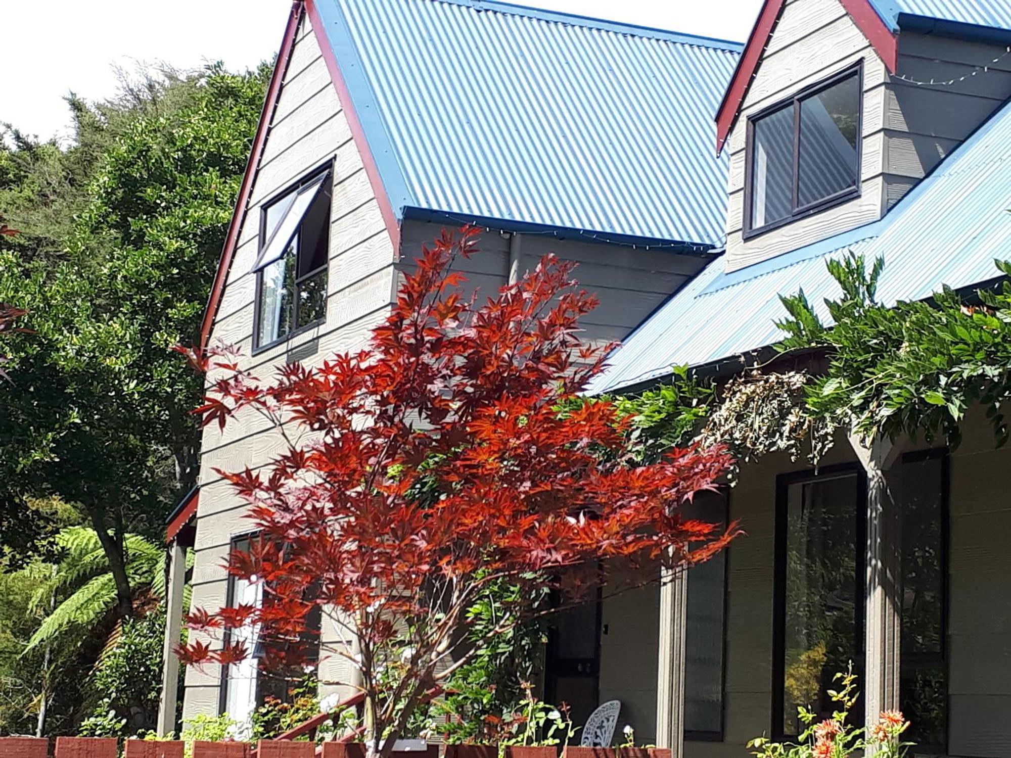Rangaroa Heights Bed & Breakfast Taumarunui Bagian luar foto