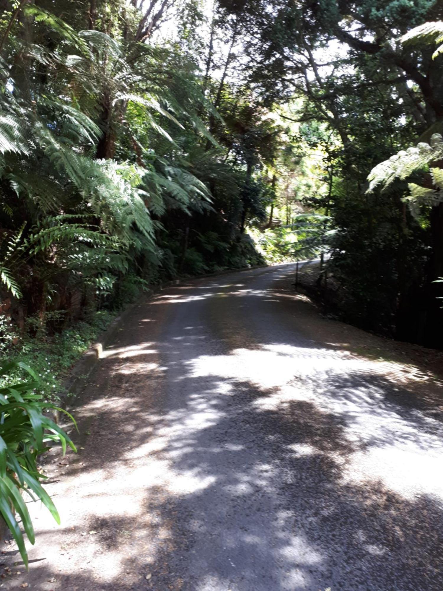 Rangaroa Heights Bed & Breakfast Taumarunui Bagian luar foto